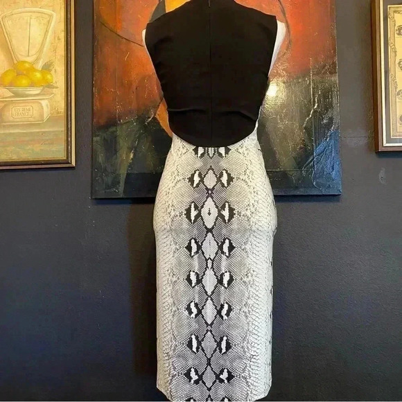 Roberto Cavalli Snake Print Sheath Midi Dress Stretch Office Siren Boardroom - Picture 6 of 15